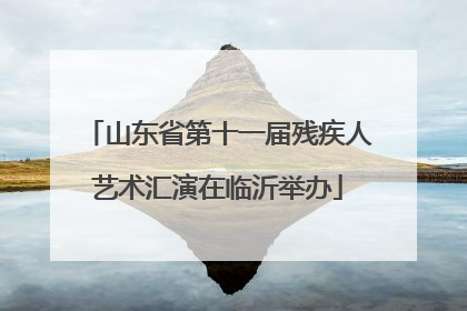 山东省第十一届残疾人艺术汇演在临沂举办