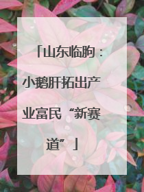 山东临朐：小鹅肝拓出产业富民“新赛道”