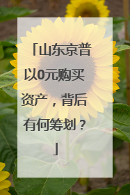 山东京普以0元购买资产，背后有何筹划？