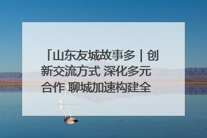 山东友城故事多｜创新交流方式 深化多元合作 聊城加速构建全球友城新格局