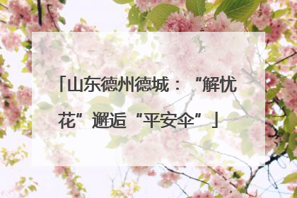 山东德州德城：“解忧花”邂逅“平安伞”