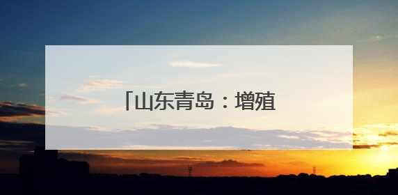 山东青岛：增殖放流 修复生态