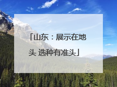 山东：展示在地头 选种有准头