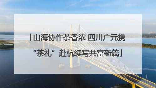 山海协作茶香浓 四川广元携“茶礼”赴杭续写共富新篇