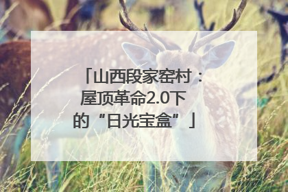 山西段家窑村：屋顶革命2.0下的“日光宝盒”