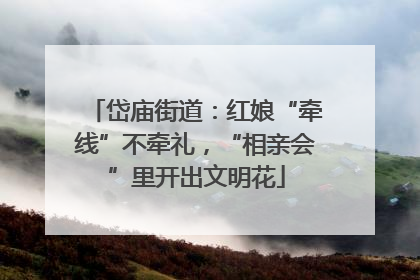 岱庙街道：红娘“牵线”不牵礼，“相亲会”里开出文明花