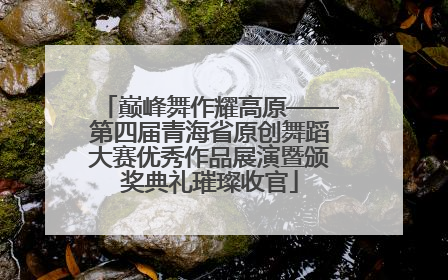 巅峰舞作耀高原——第四届青海省原创舞蹈大赛优秀作品展演暨颁奖典礼璀璨收官