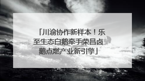 川渝协作新样本！乐至生态白鹅牵手荣昌卤鹅点燃产业新引擎