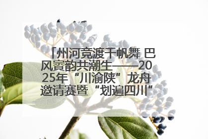 州河竞渡千帆舞 巴风賨韵共潮生——2025年“川渝陕”龙舟邀请赛暨“划遍四川”达川站圆满收官