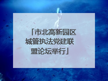 市北高新园区城管执法党建联盟论坛举行