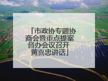 市政协专题协商会暨重点提案督办会议召开 黄喜忠讲话