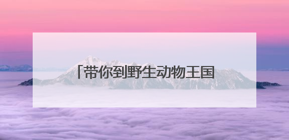 带你到野生动物王国揭秘鄂州人专属暗号
