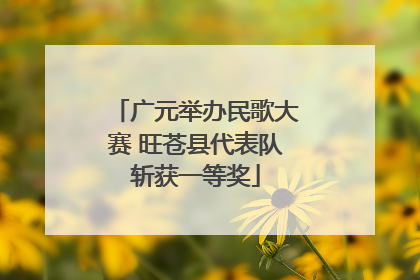 广元举办民歌大赛 旺苍县代表队斩获一等奖