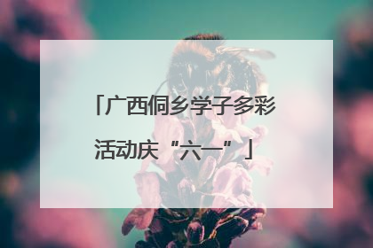广西侗乡学子多彩活动庆“六一”