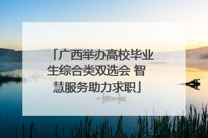 广西举办高校毕业生综合类双选会 智慧服务助力求职