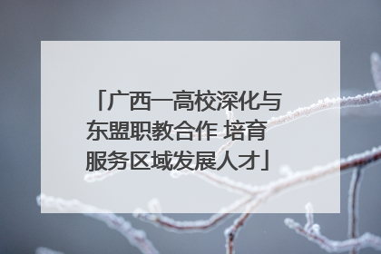 广西一高校深化与东盟职教合作 培育服务区域发展人才