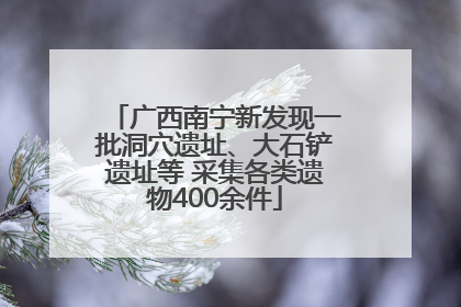 广西南宁新发现一批洞穴遗址、大石铲遗址等 采集各类遗物400余件