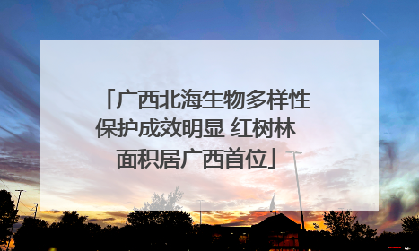 广西北海生物多样性保护成效明显 红树林面积居广西首位