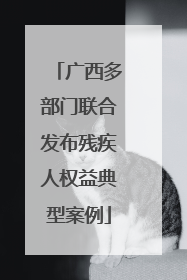 广西多部门联合发布残疾人权益典型案例