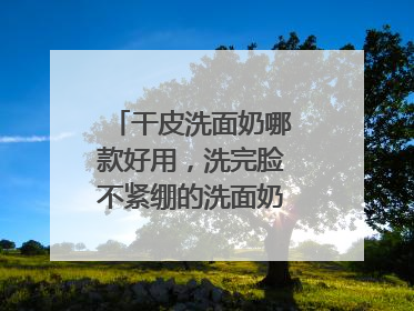 干皮洗面奶哪款好用，洗完脸不紧绷的洗面奶推荐，收藏