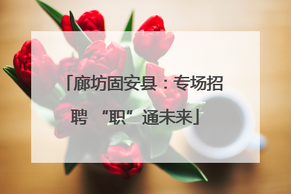 廊坊固安县：专场招聘 “职”通未来