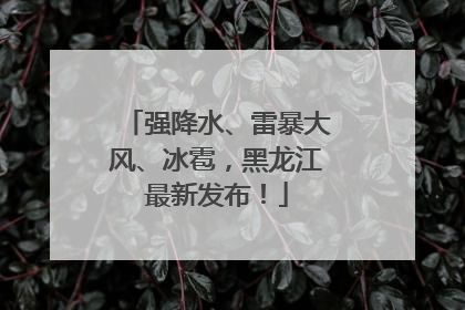 强降水、雷暴大风、冰雹，黑龙江最新发布！