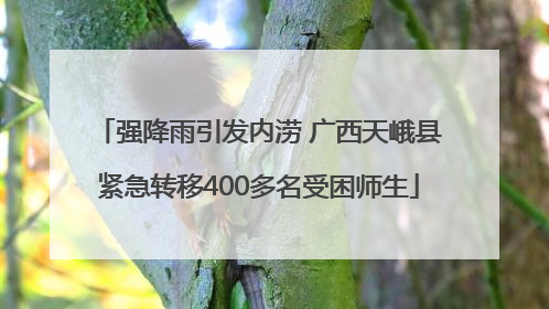 强降雨引发内涝 广西天峨县紧急转移400多名受困师生