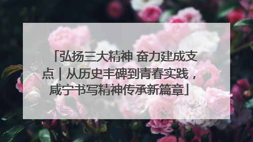 弘扬三大精神 奋力建成支点｜从历史丰碑到青春实践，咸宁书写精神传承新篇章