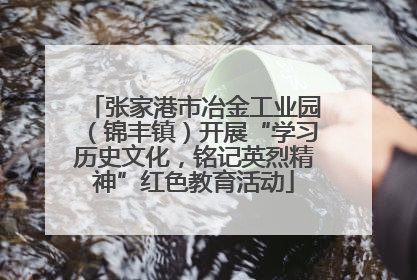 张家港市冶金工业园（锦丰镇）开展“学习历史文化，铭记英烈精神”红色教育活动