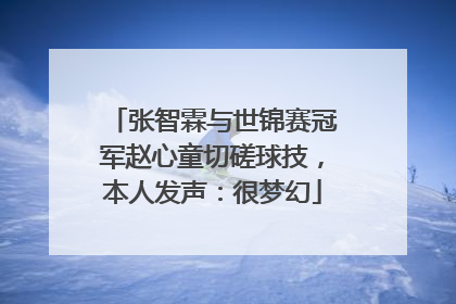 张智霖与世锦赛冠军赵心童切磋球技，本人发声：很梦幻