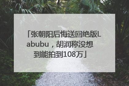 张朝阳后悔送回绝版Labubu，胡润称没想到能拍到108万