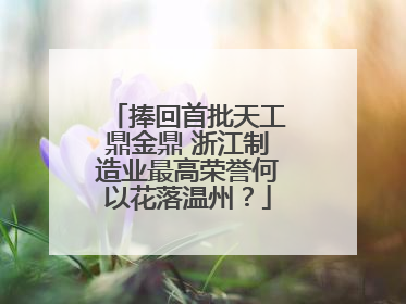 捧回首批天工鼎金鼎 浙江制造业最高荣誉何以花落温州？