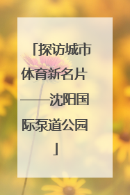 探访城市体育新名片——沈阳国际泵道公园