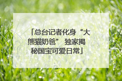 总台记者化身“大熊猫奶爸” 独家揭秘国宝可爱日常