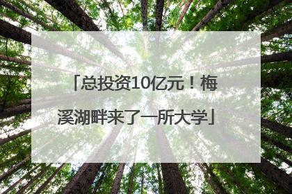总投资10亿元！梅溪湖畔来了一所大学