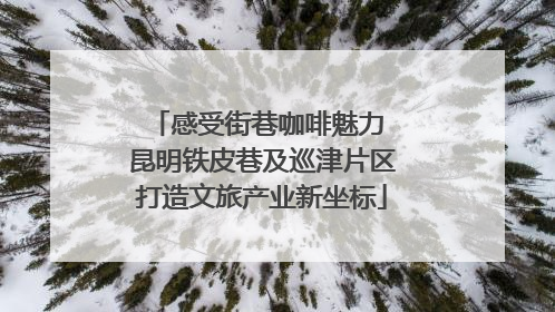 感受街巷咖啡魅力 昆明铁皮巷及巡津片区打造文旅产业新坐标