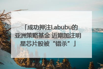 成功押注Labubu的亚洲策略基金 近期加注明星芯片股被“错杀”