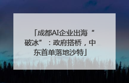成都AI企业出海“破冰”：政府搭桥，中东首单落地沙特