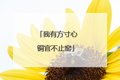 我有方寸心 铜官不止窑