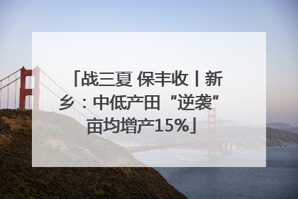 战三夏 保丰收丨新乡：中低产田“逆袭” 亩均增产15%