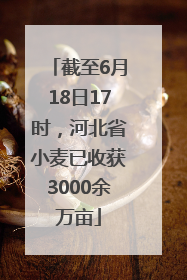 截至6月18日17时，河北省小麦已收获3000余万亩