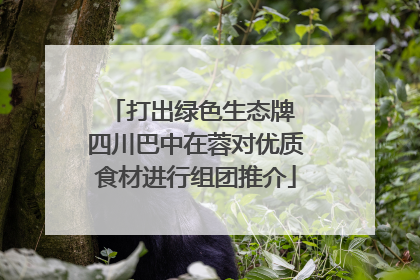打出绿色生态牌 四川巴中在蓉对优质食材进行组团推介