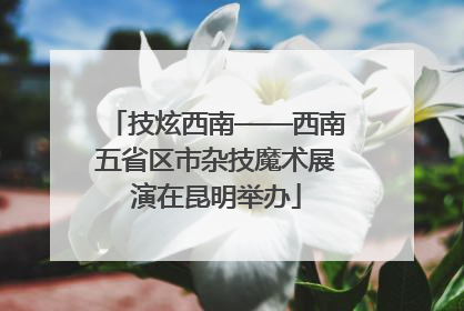 技炫西南——西南五省区市杂技魔术展演在昆明举办