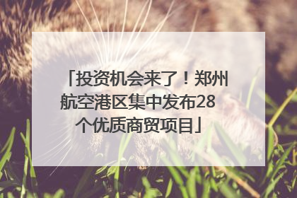 投资机会来了！郑州航空港区集中发布28个优质商贸项目