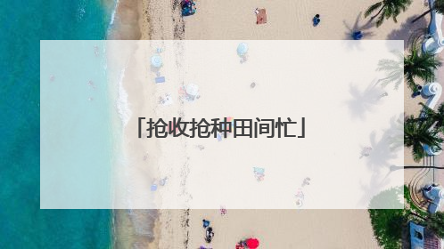 抢收抢种田间忙