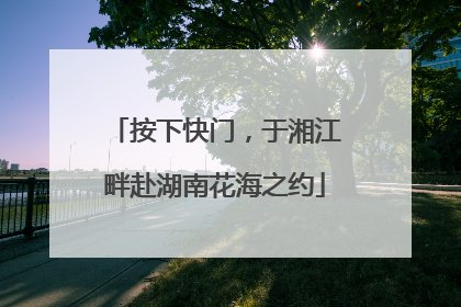 按下快门，于湘江畔赴湖南花海之约