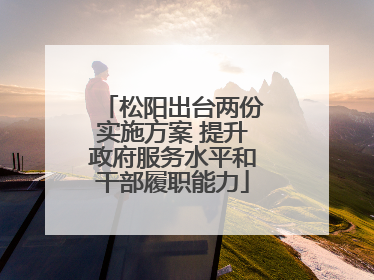 松阳出台两份实施方案 提升政府服务水平和干部履职能力
