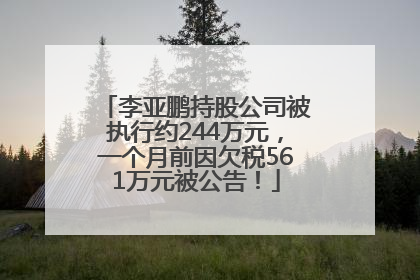 李亚鹏持股公司被执行约244万元，一个月前因欠税561万元被公告！