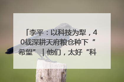 李平：以科技为犁，40载深耕天府粮仓种下“希望”｜他们，太好“科”了& 9312