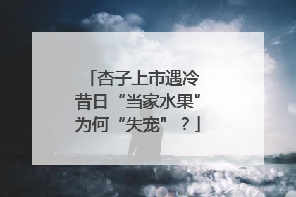 杏子上市遇冷 昔日“当家水果”为何“失宠”？